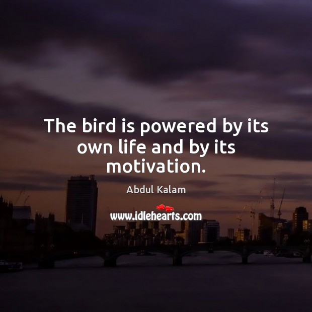 The bird is powered by its own life and by its motivation. 