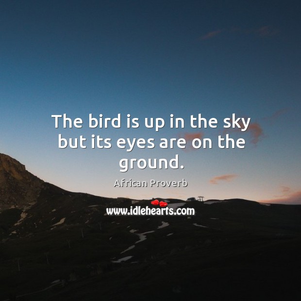 The bird is up in the sky but its eyes are on the ground. Image