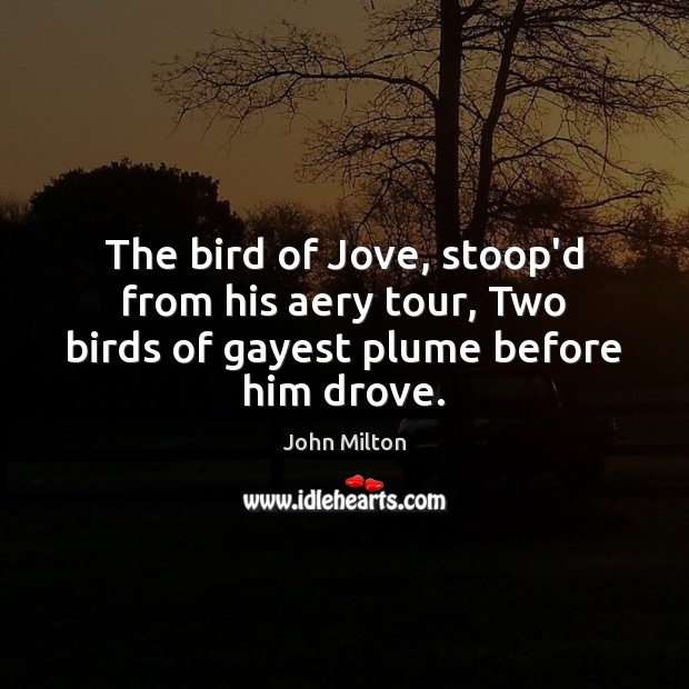 The bird of Jove, stoop’d from his aery tour, Two birds of gayest plume before him drove. Image