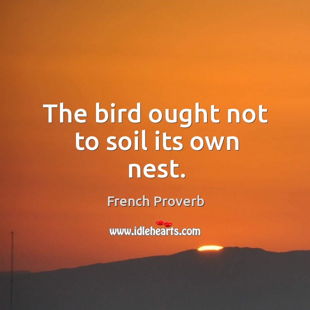 The bird ought not to soil its own nest. French Proverbs Image