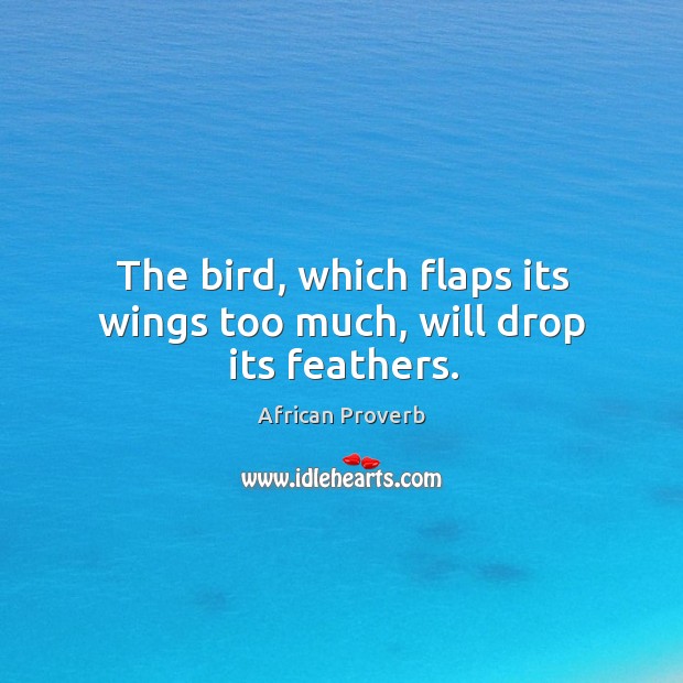 The bird, which flaps its wings too much, will drop its feathers. Image