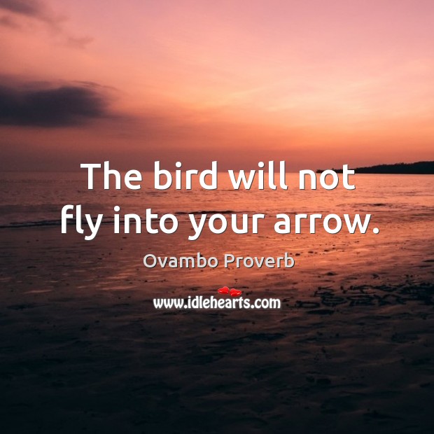 The bird will not fly into your arrow. Ovambo Proverbs Image