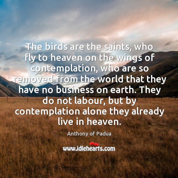 The birds are the saints, who fly to heaven on the wings Anthony of Padua Picture Quote