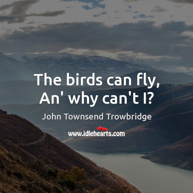 The birds can fly, An’ why can’t I? Image