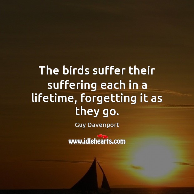 The birds suffer their suffering each in a lifetime, forgetting it as they go. Guy Davenport Picture Quote