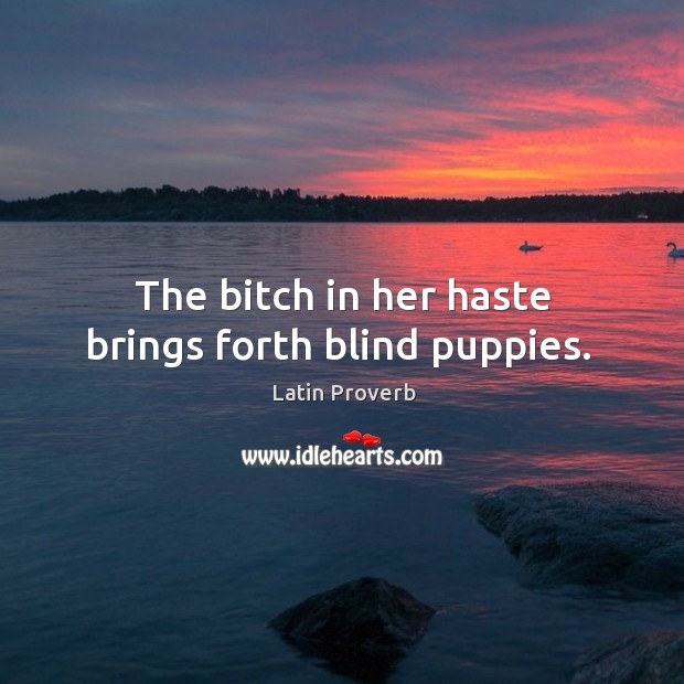 The bitch in her haste brings forth blind puppies. Image