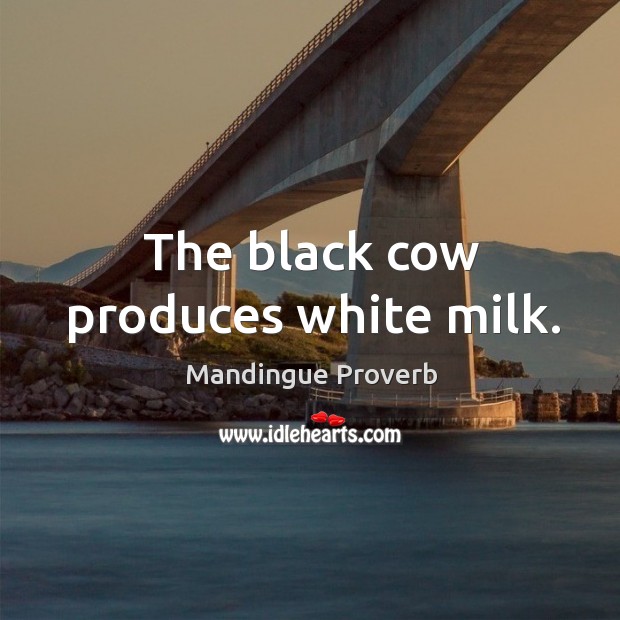 The black cow produces white milk. Image