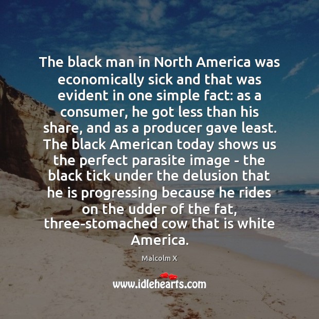 The black man in North America was economically sick and that was Malcolm X Picture Quote