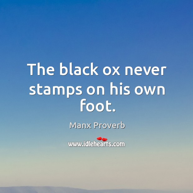 The black ox never stamps on his own foot. Manx Proverbs Image