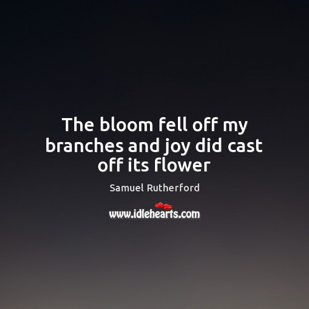 The bloom fell off my branches and joy did cast off its flower Samuel Rutherford Picture Quote