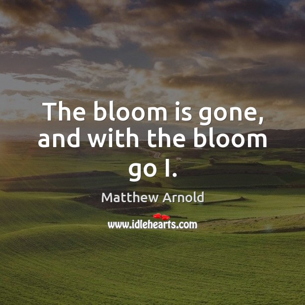 The bloom is gone, and with the bloom go I. Image