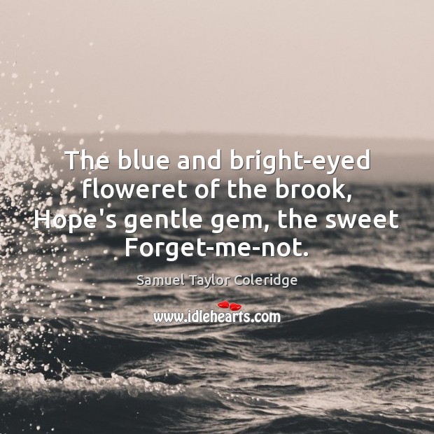 The blue and bright-eyed floweret of the brook, Hope’s gentle gem, the Samuel Taylor Coleridge Picture Quote