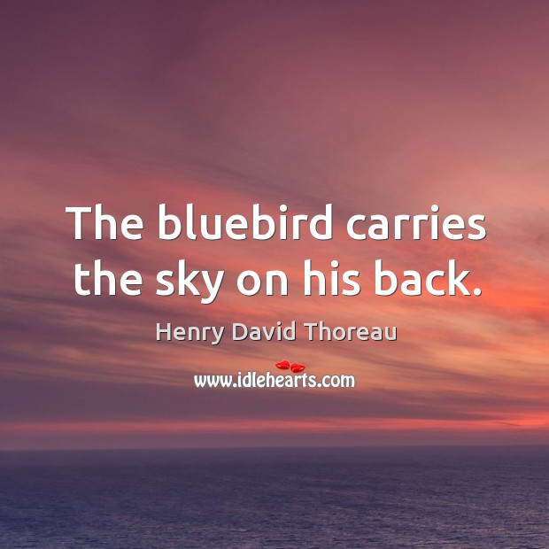 The bluebird carries the sky on his back. Henry David Thoreau Picture Quote
