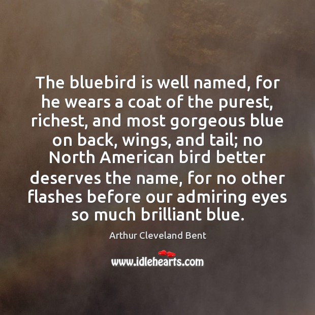 The bluebird is well named, for he wears a coat of the Image