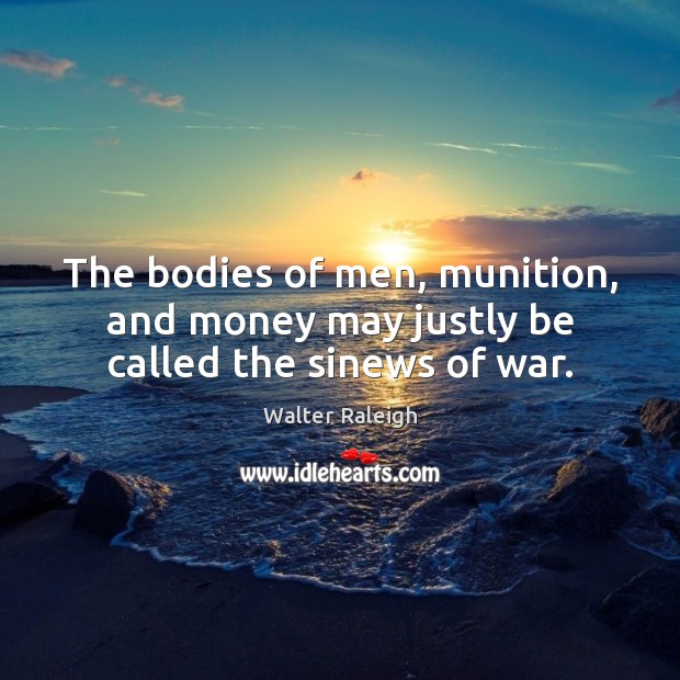 The bodies of men, munition, and money may justly be called the sinews of war. Image