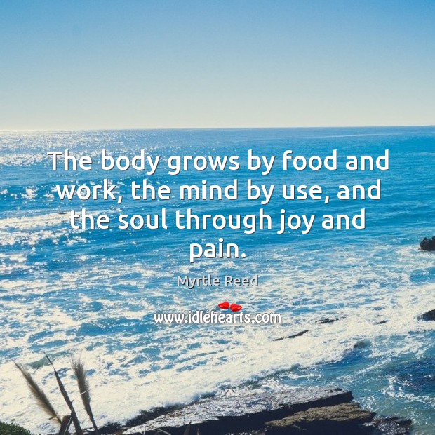 The body grows by food and work, the mind by use, and the soul through joy and pain. Myrtle Reed Picture Quote