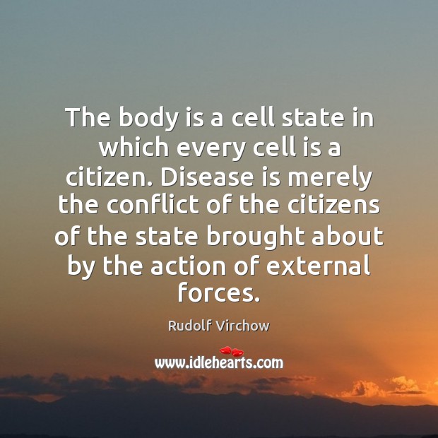 The body is a cell state in which every cell is a Rudolf Virchow Picture Quote