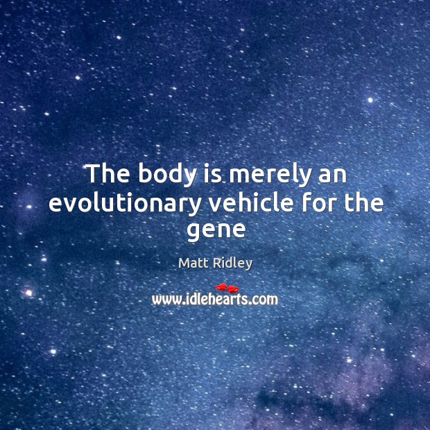 The body is merely an evolutionary vehicle for the gene Matt Ridley Picture Quote