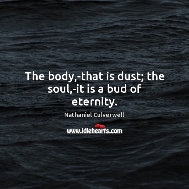 The body,-that is dust; the soul,-it is a bud of eternity. Nathaniel Culverwell Picture Quote