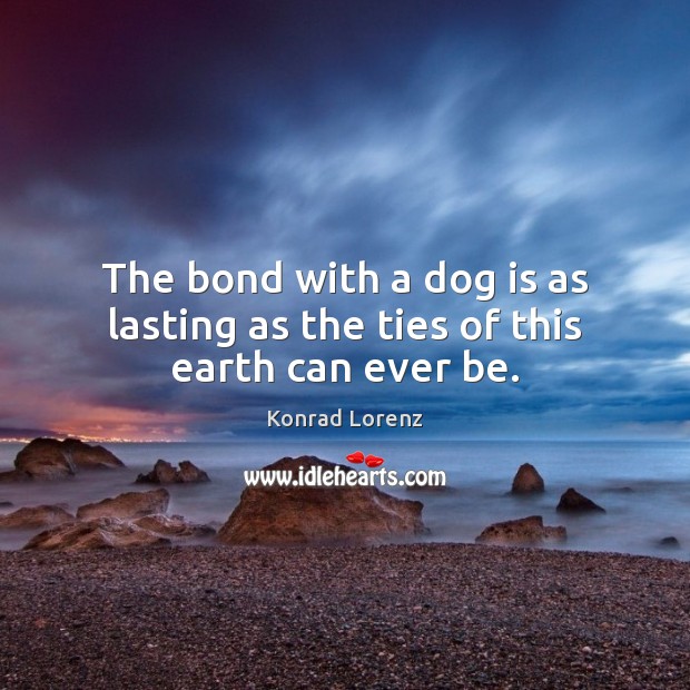 The bond with a dog is as lasting as the ties of this earth can ever be. Konrad Lorenz Picture Quote