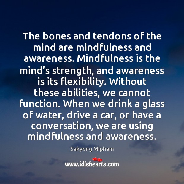 The bones and tendons of the mind are mindfulness and awareness. Mindfulness Sakyong Mipham Picture Quote
