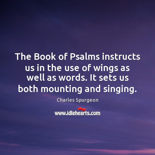 The Book of Psalms instructs us in the use of wings as Image