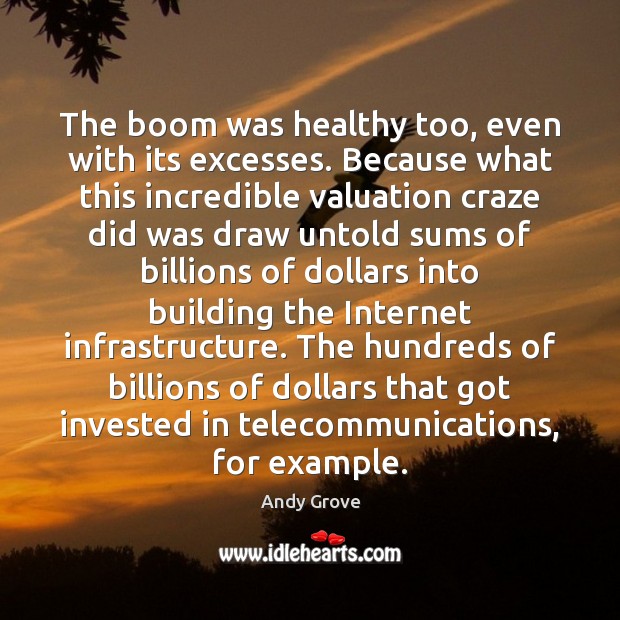 The boom was healthy too, even with its excesses. Because what this Andy Grove Picture Quote