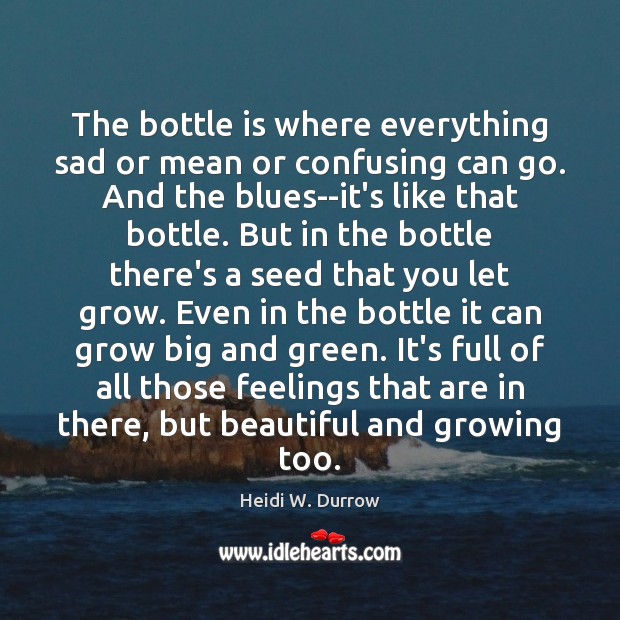 The bottle is where everything sad or mean or confusing can go. Heidi W. Durrow Picture Quote