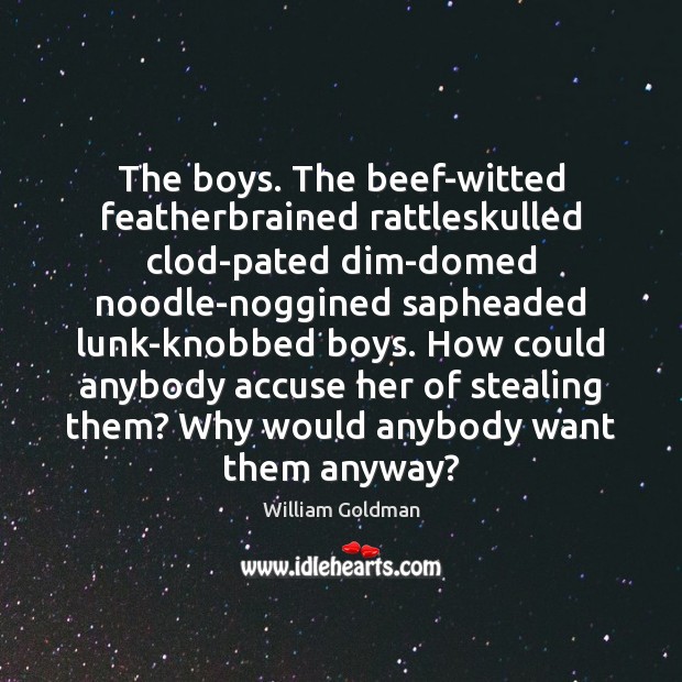 The boys. The beef-witted featherbrained rattleskulled clod-pated dim-domed noodle-noggined sapheaded lunk-knobbed boys. William Goldman Picture Quote