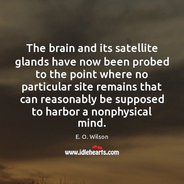 The brain and its satellite glands have now been probed to the E. O. Wilson Picture Quote