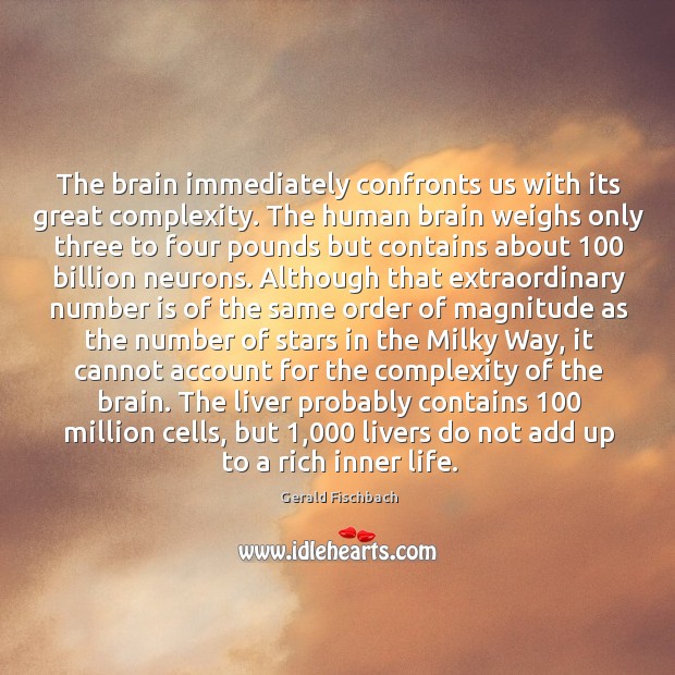 The brain immediately confronts us with its great complexity. The human brain Gerald Fischbach Picture Quote
