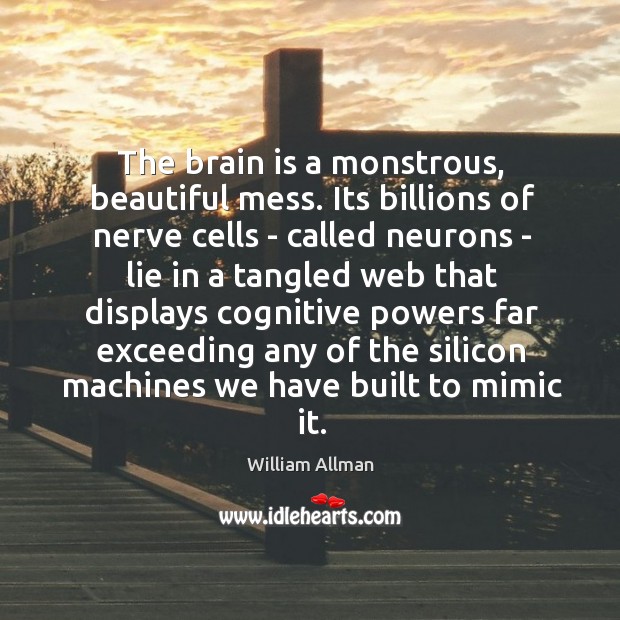 The brain is a monstrous, beautiful mess. Its billions of nerve cells William Allman Picture Quote
