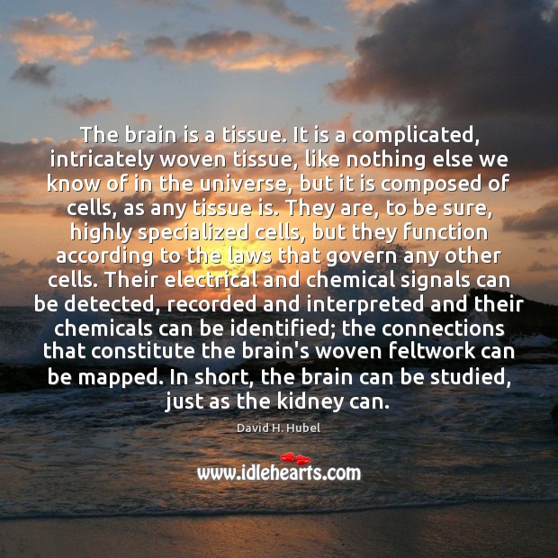 The brain is a tissue. It is a complicated, intricately woven tissue, David H. Hubel Picture Quote