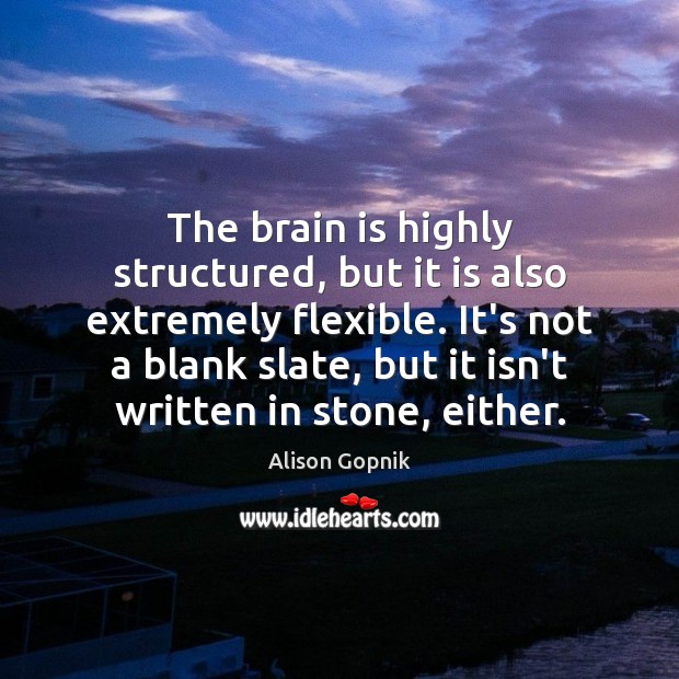 The brain is highly structured, but it is also extremely flexible. It’s 