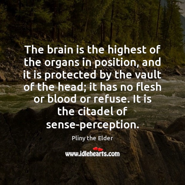 The brain is the highest of the organs in position, and it Pliny the Elder Picture Quote