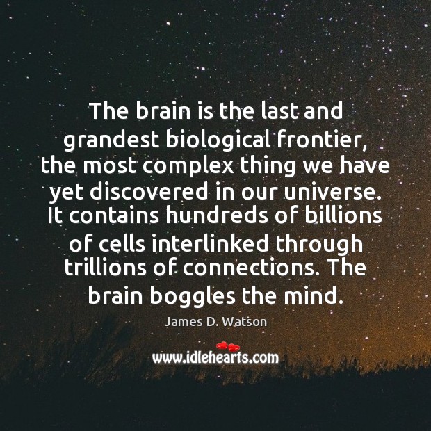 The brain is the last and grandest biological frontier, the most complex Image