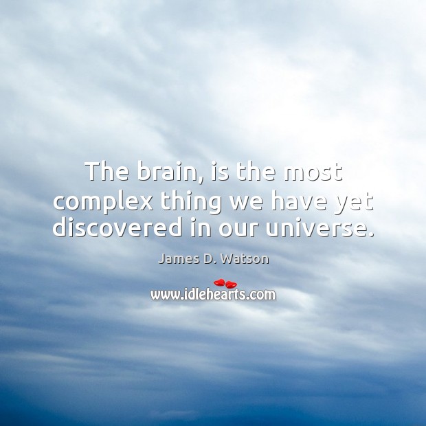 The brain, is the most complex thing we have yet discovered in our universe. James D. Watson Picture Quote