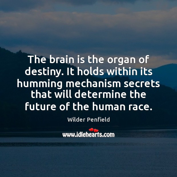 The brain is the organ of destiny. It holds within its humming Wilder Penfield Picture Quote