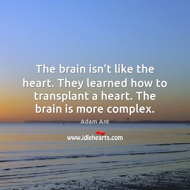 The brain isn’t like the heart. They learned how to transplant a Image
