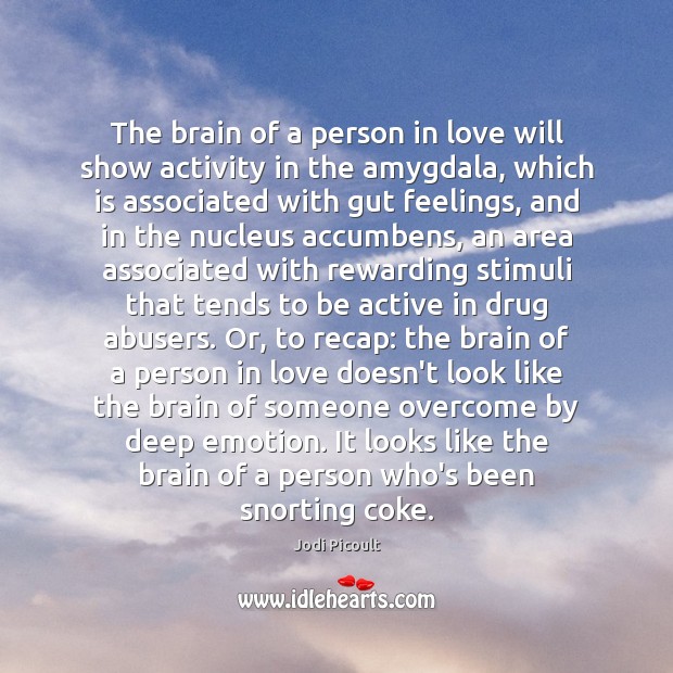 The brain of a person in love will show activity in the Image