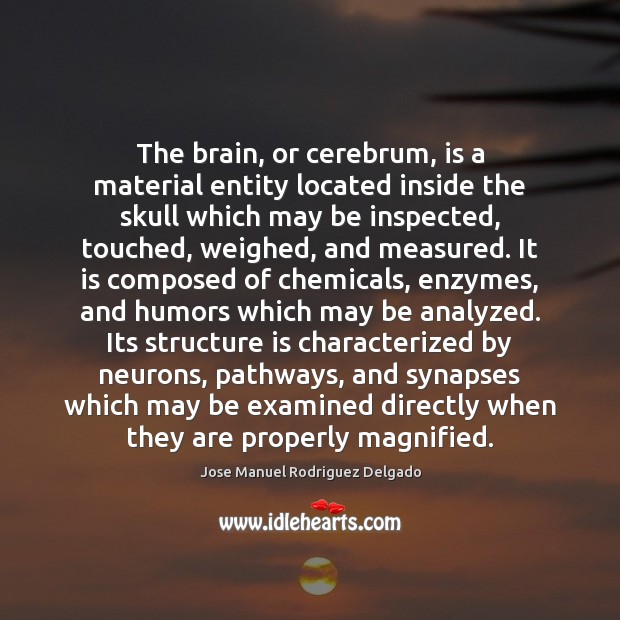 The brain, or cerebrum, is a material entity located inside the skull 
