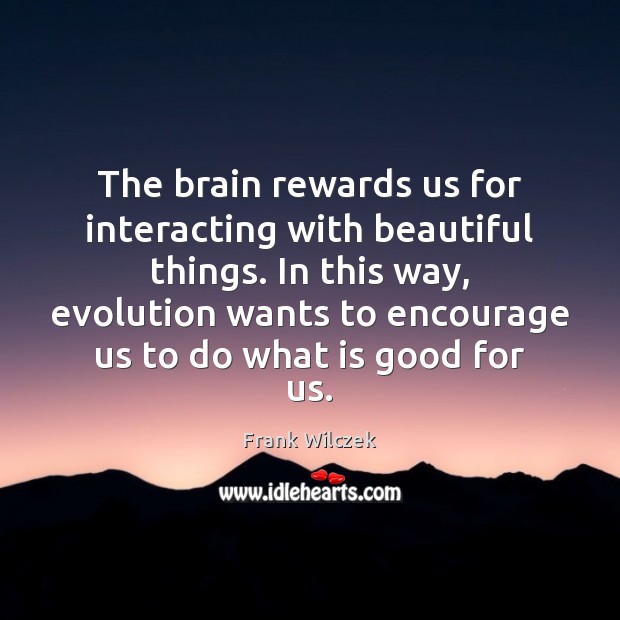 The brain rewards us for interacting with beautiful things. In this way, 