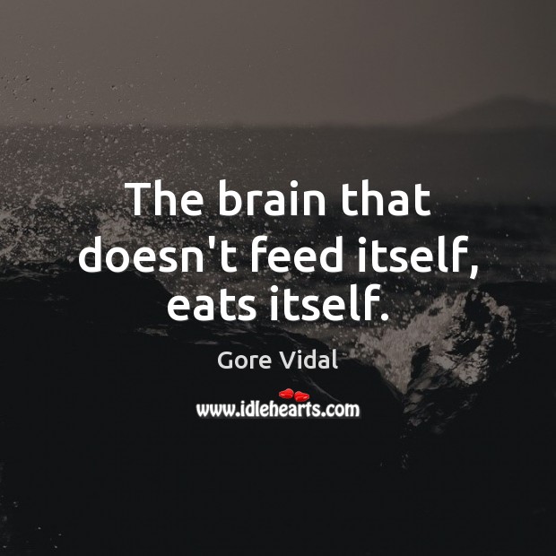 The brain that doesn’t feed itself, eats itself. Gore Vidal Picture Quote