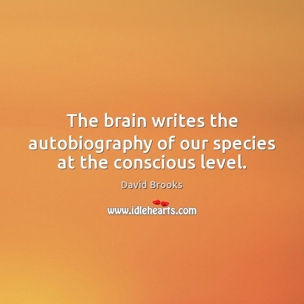 The brain writes the autobiography of our species at the conscious level. David Brooks Picture Quote