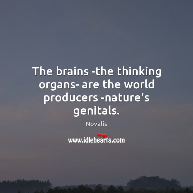 The brains -the thinking organs- are the world producers -nature’s genitals. Novalis Picture Quote