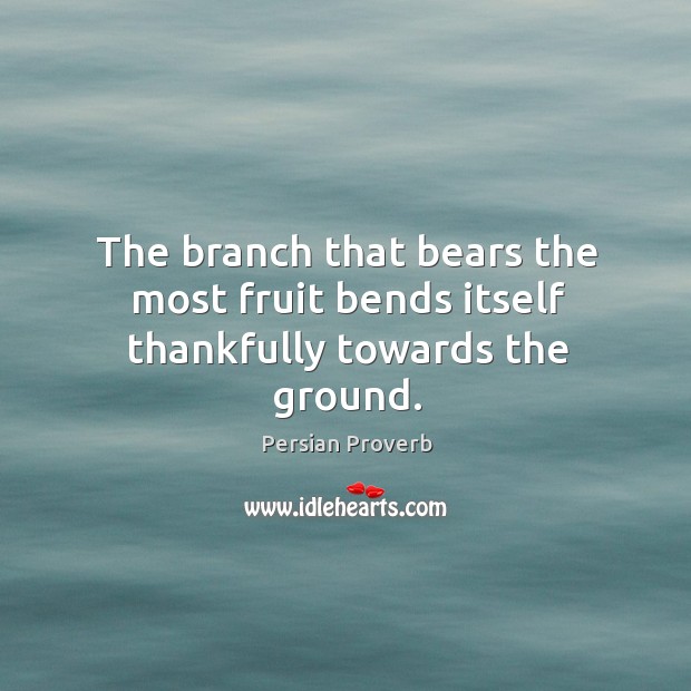 The branch that bears the most fruit bends itself thankfully towards the ground. Persian Proverbs Image