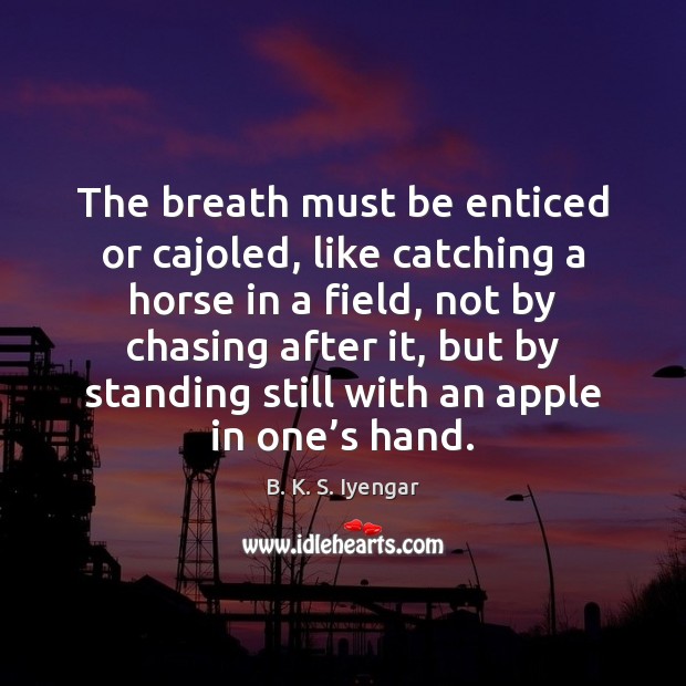 The breath must be enticed or cajoled, like catching a horse in B. K. S. Iyengar Picture Quote