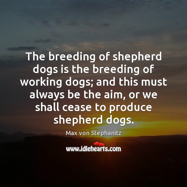 The breeding of shepherd dogs is the breeding of working dogs; and Max von Stephanitz Picture Quote