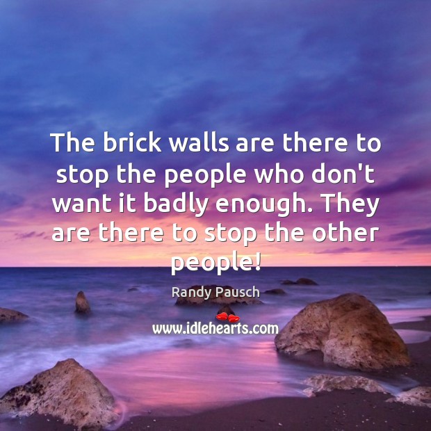 The brick walls are there to stop the people who don’t want Image