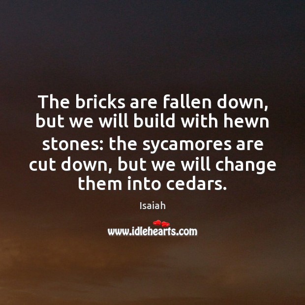 The bricks are fallen down, but we will build with hewn stones: Isaiah Picture Quote